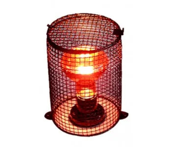 Globe Mesh Wire Cover Medium Cage - Amazing Amazon